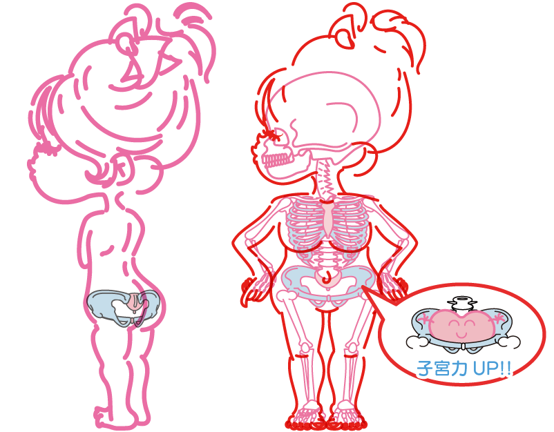 歪んだ骨盤　肩幅　イカリ肩　肋骨の広がり　背骨の歪み　股関節のズレ　子宮や卵巣にも悪影響